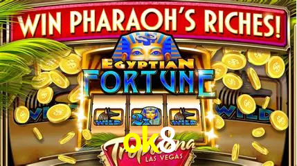 Cassino ao vivo com dealers reais na ok8